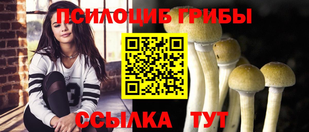 Железноводск  Псилоцибиновые грибы Magic Shrooms  Вход с VPN  Псилоцибиновые грибы мухоморы 
