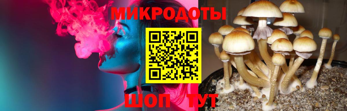 Псилоцибиновые грибы мицелий Железноводск